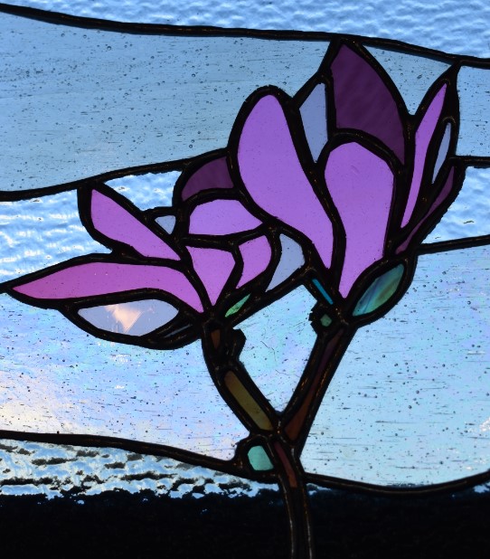 Magnolia