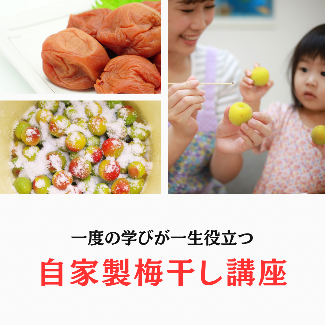 自家製手作り梅干し講座【とことん素材にこだわって】開催します