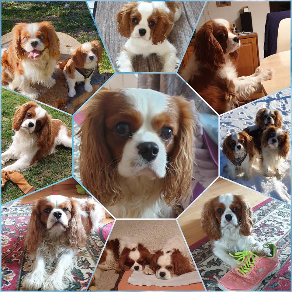 Flynn, mein kleiner Prinz