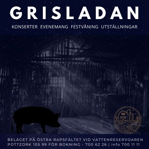"över bordet hängde en kvadratmeterstor konsertaffisch ”The Knickedicks, Papegojans år, 7:e dagen, Grisladan.”