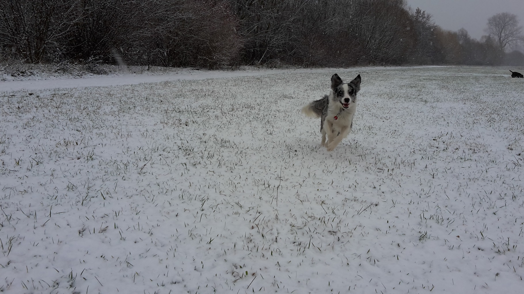 Fun in the snow