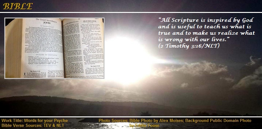2 Timothy 3:16