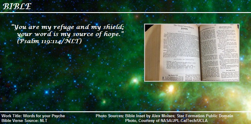 Psalm 119:114