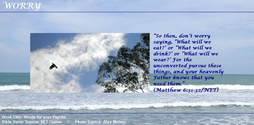Matthew 6:31-32