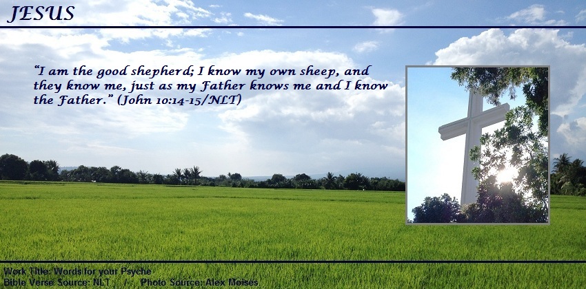 John 10:14-15