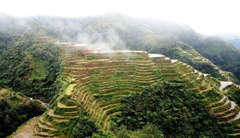 Banaue Rice Terraces