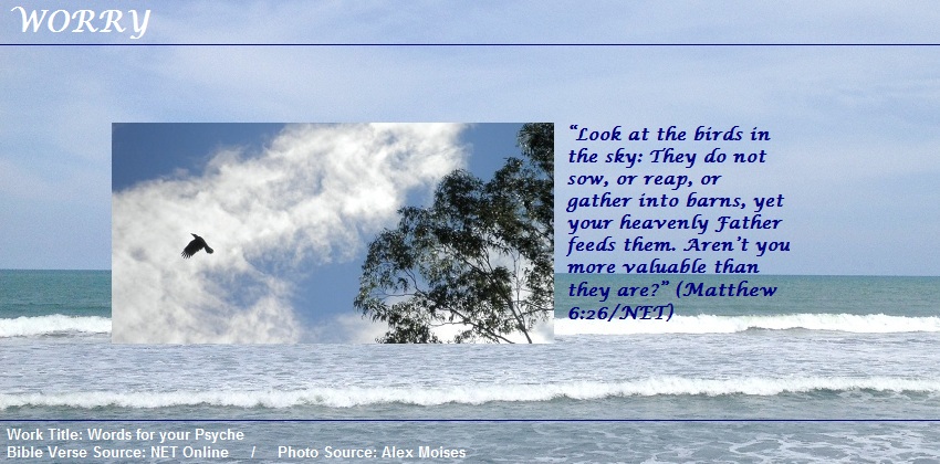 Matthew 6:26