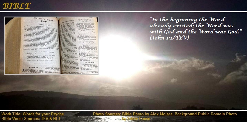 Gallery of Bible Verses about the Bible beginning from John 1:1