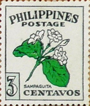 Sampaguita on Enlarged Philippine Stamp of 1948