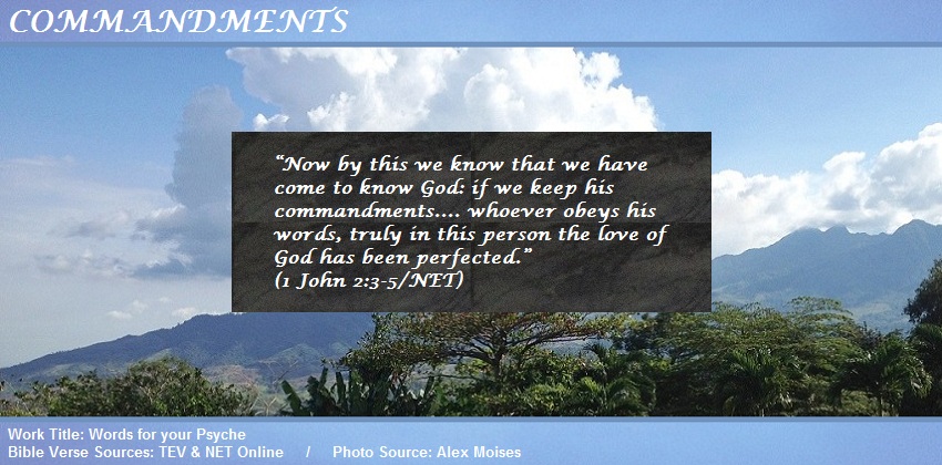 1 John 2:3-5