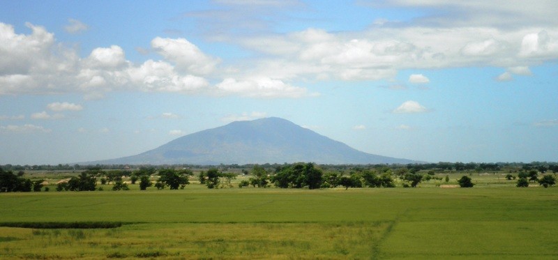 Rice Paddies in Bulacan Province and Mount Arayat in Pampanga Province during Sunny Weather