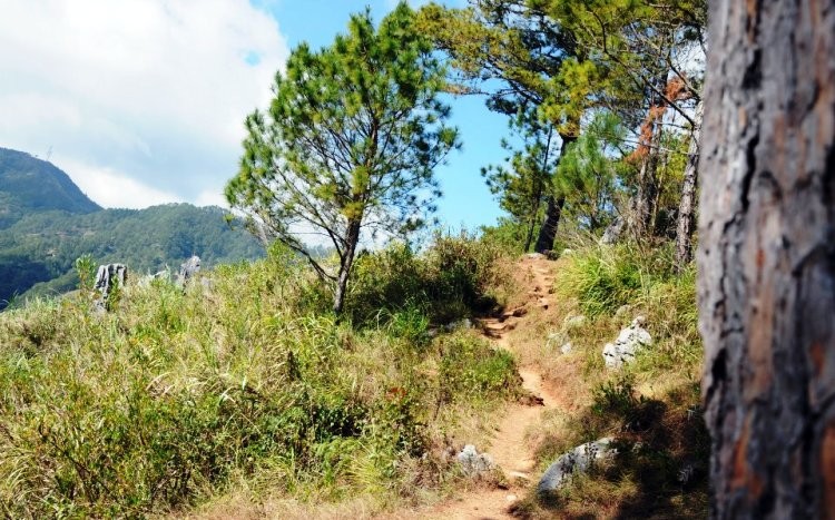 Hiking Trail on the Cordillera Mountain Range