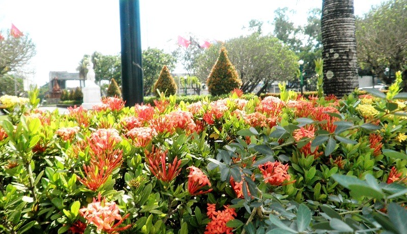 Capitol Ground Entrance Scenery