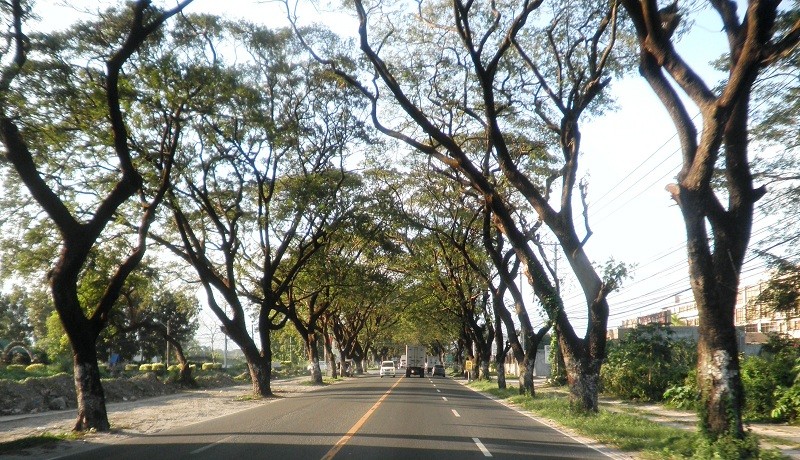 MacArthur Highway near Baliti Area