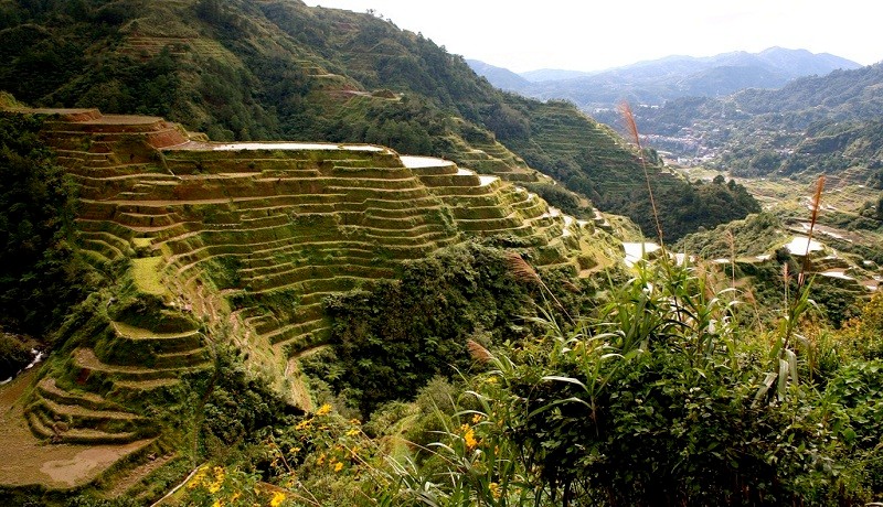 Banaue Rice Terraces, Ifugao Province (All Terraces Photos, Creative Commons Photos, Courtesy of Jon Rawlinson on Flickr)