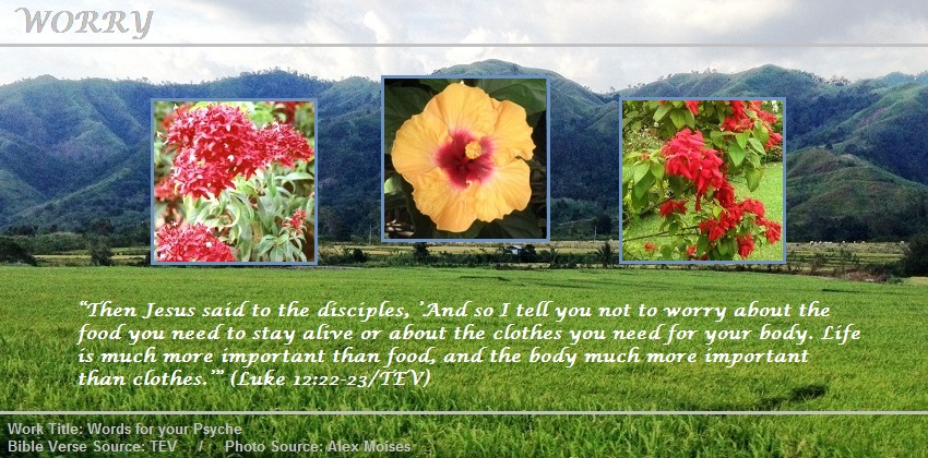 Gallery of Bible Verses about Worry beginning from Luke 12:22-23
