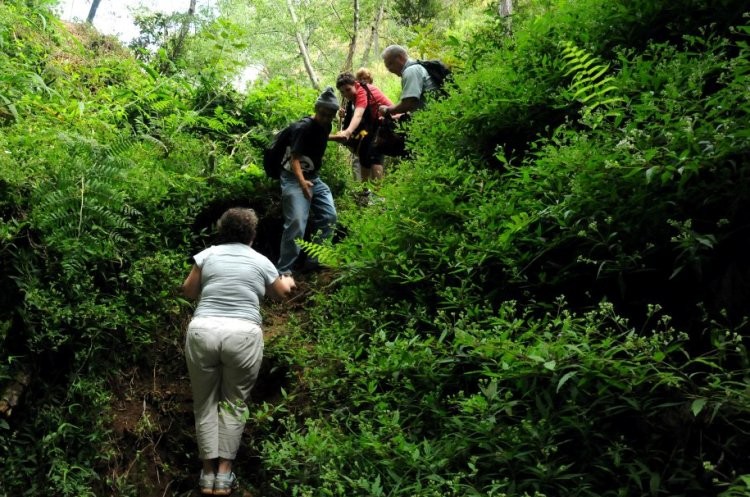 Hiking Trail