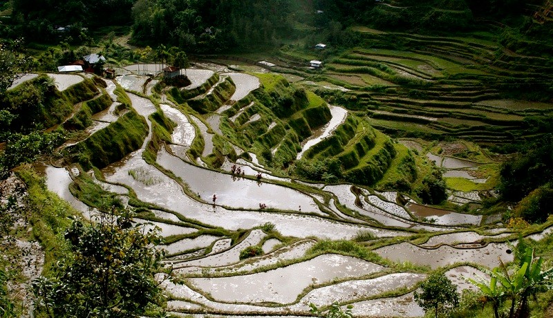 Banaue Rice Terraces, Ifugao Province (Rawlinson's Five Creative Commons Photos of Banaue Rice Terraces)