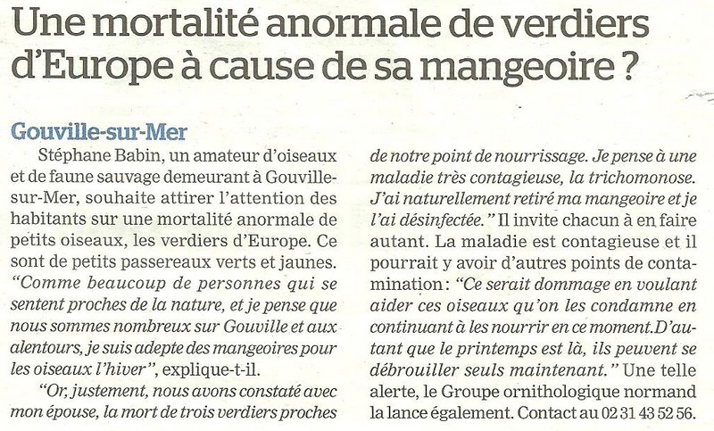 Article de la manche libre sur la maladie du verdier.