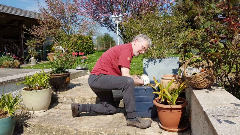 Dominique Autrou à la division des agapanthes en pot.