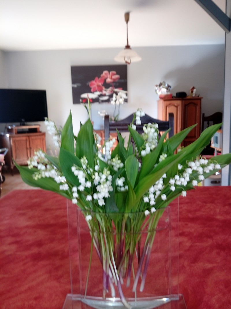 Nicole et Jean Marie Jéhan : Muguet.