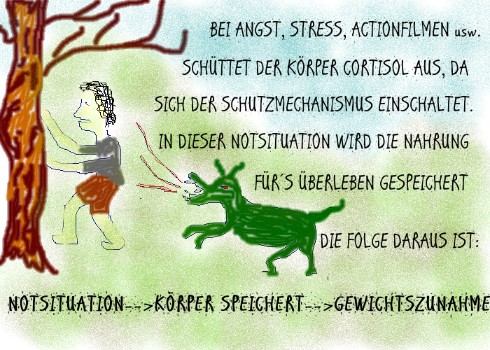 Bachblüten zum Abnehmen von Dienern