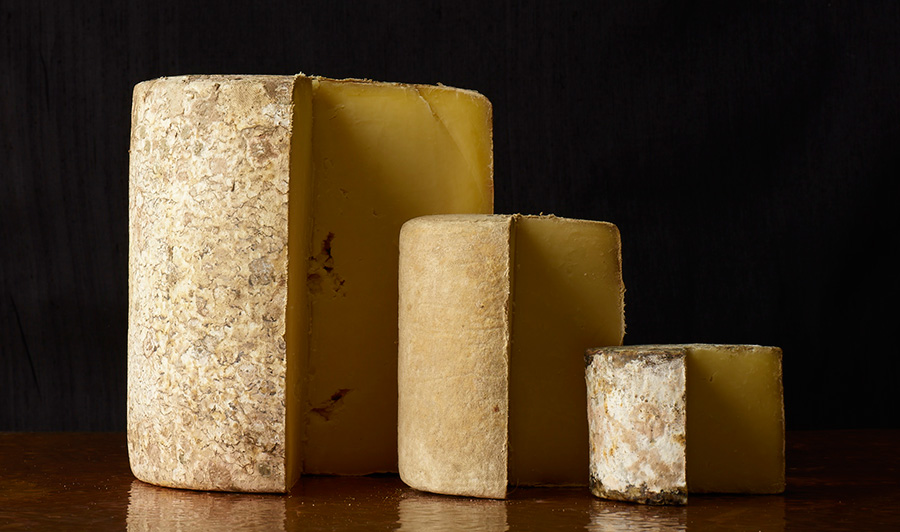 Cheddar - Fromage de vache, PPNC