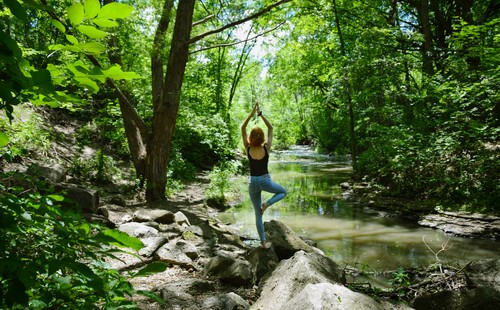 ATELIER YIN YOGA & BAIN DE FORÊT : ralentir pour se (re) connecter à soi