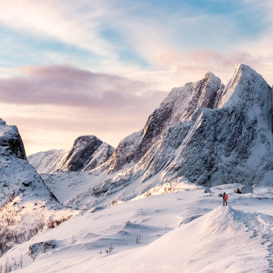 Resilienz – Die Kunst, im Leben stark zu bleiben