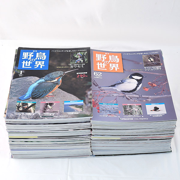 週刊　野鳥の世界　全121号セット【専用バインダー付き】 Deagostini 雑誌バインダー付き 週刊 「野鳥の世界」 全巻