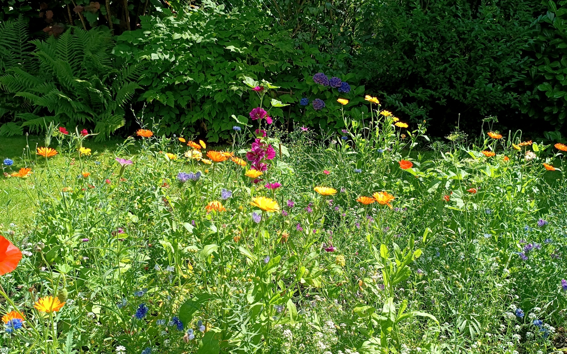 Easy Gardening - Einfach entspannt Gärtnern