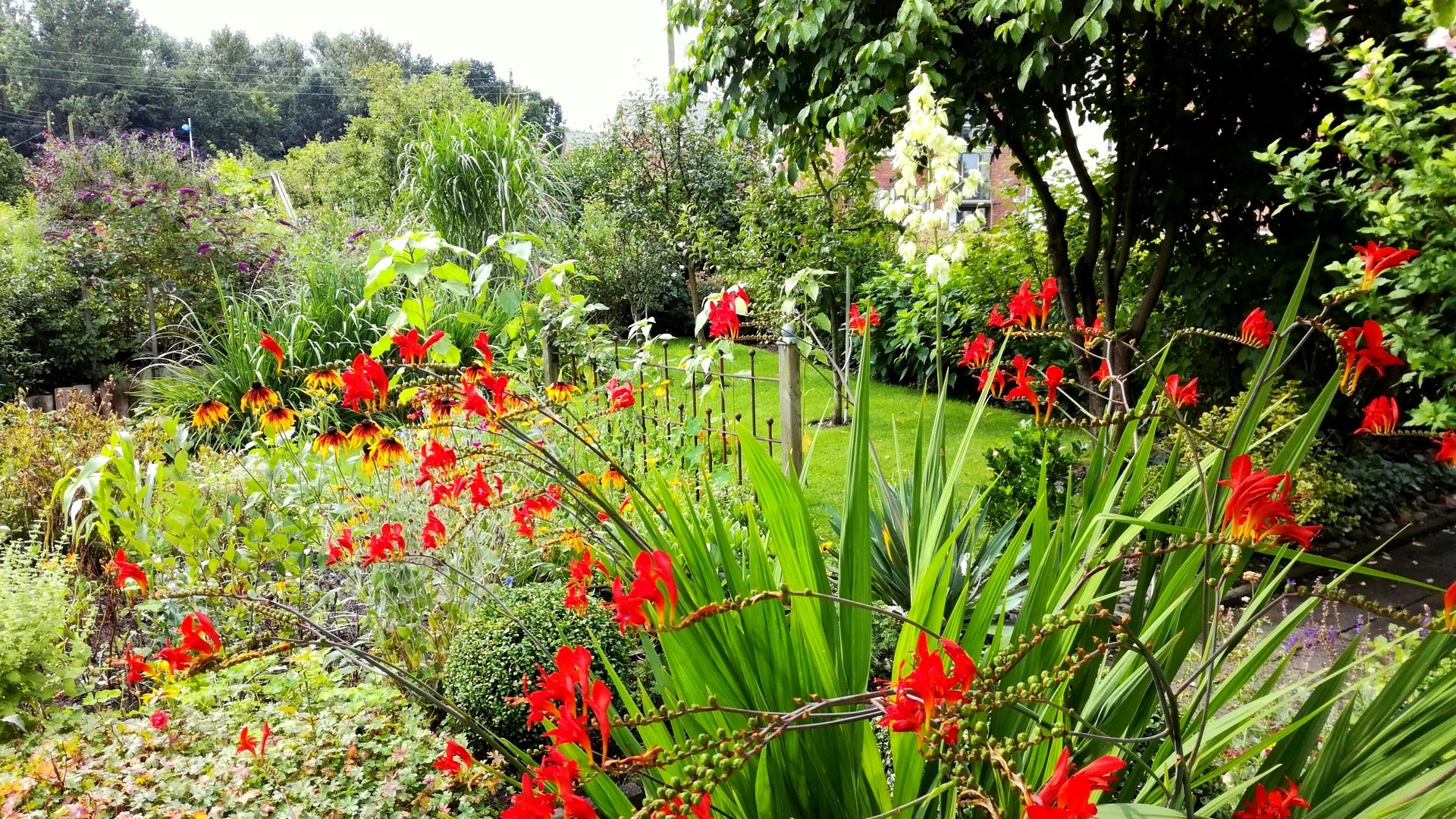 Mit kleinem Budget zum tollen Garten