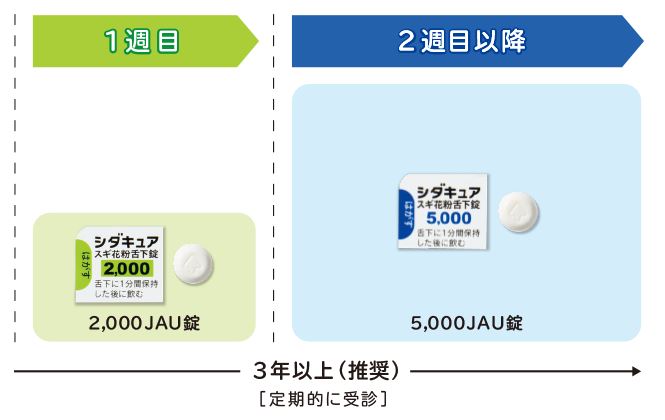 スギ花粉症免疫療法の薬：シダキュア