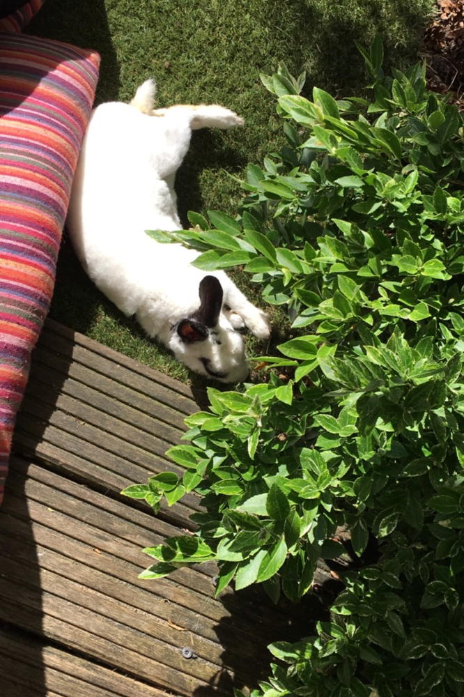 Genieten van de zon (als die er is)