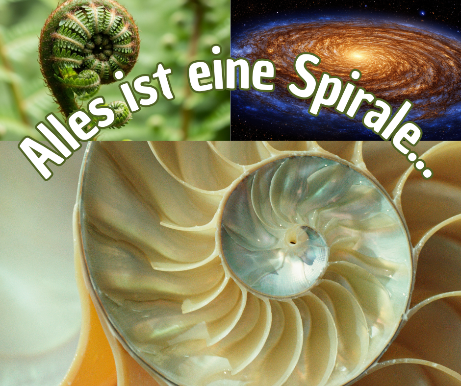 Alles ist eine Spirale
