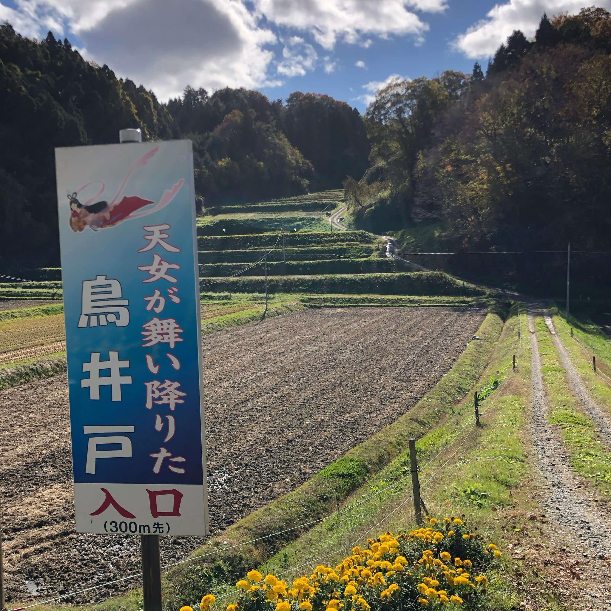 鳥井戸の看板