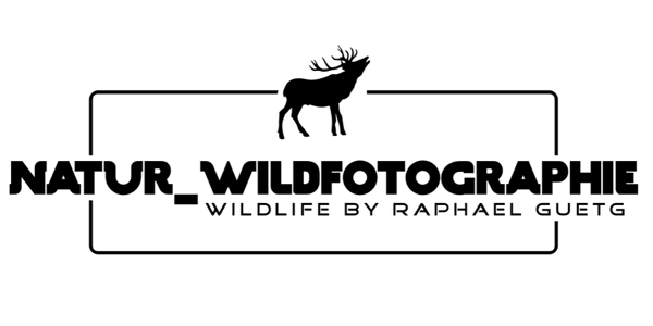 natur-wildfotographies Webseite!