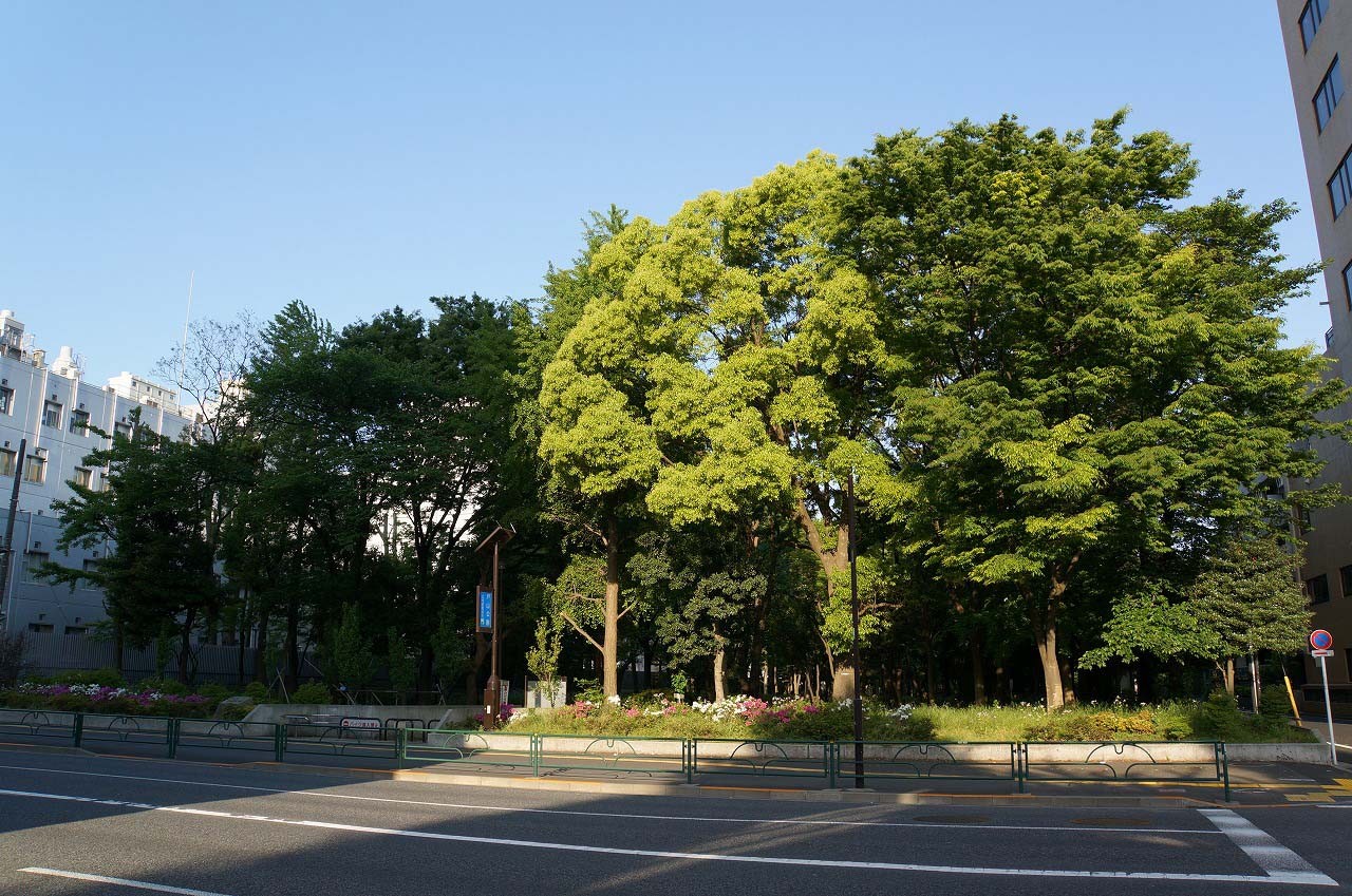 戸山公園の出口（明治通り側）