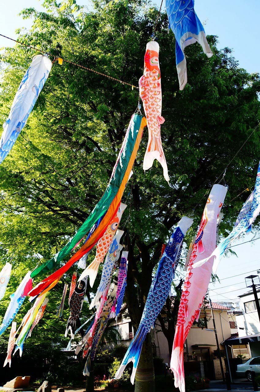 今日も高田馬場公園からスタート！