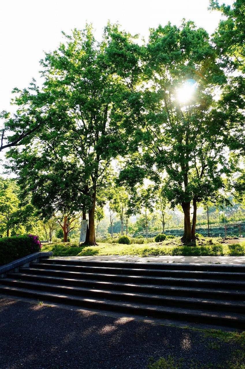 さらに戸山公園を進むと…