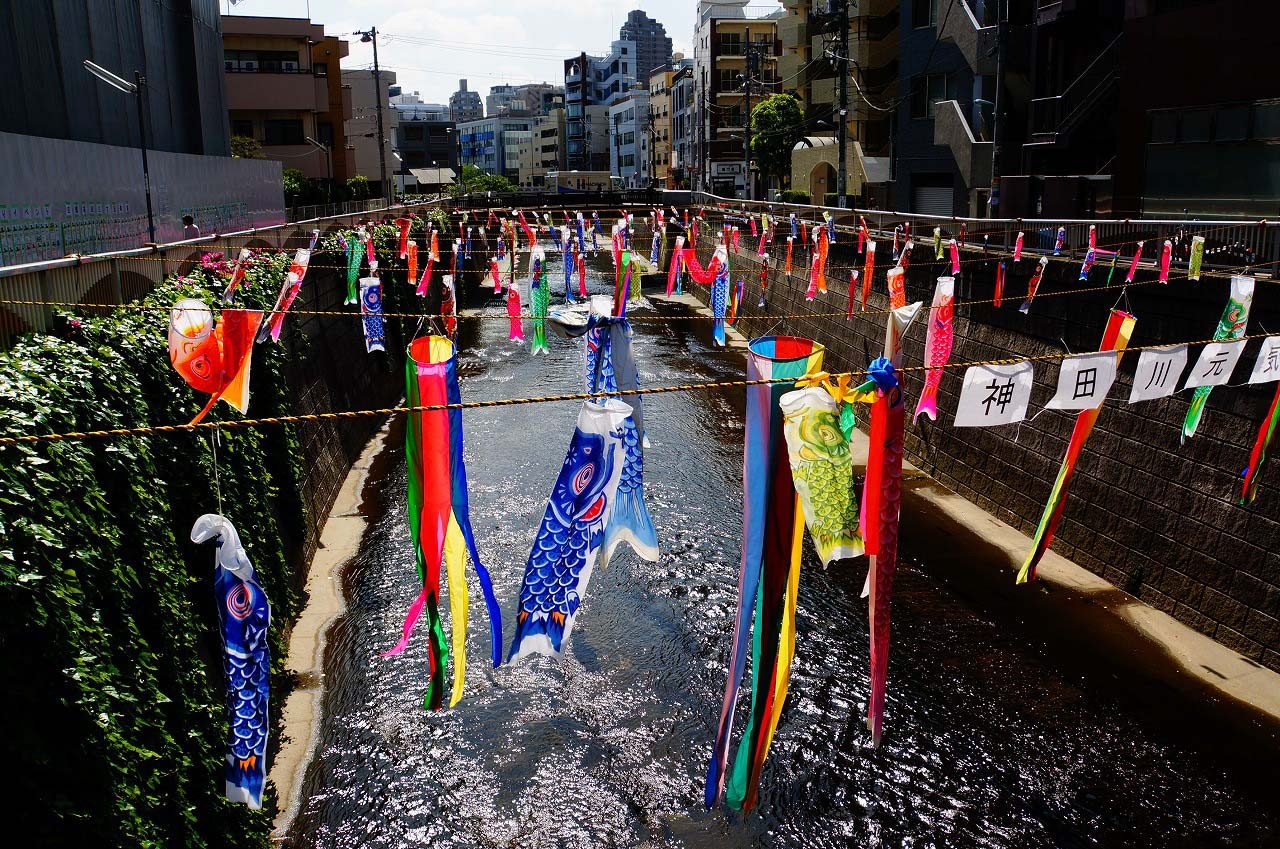 気持ちよさそうに神田川を泳いでる鯉たち