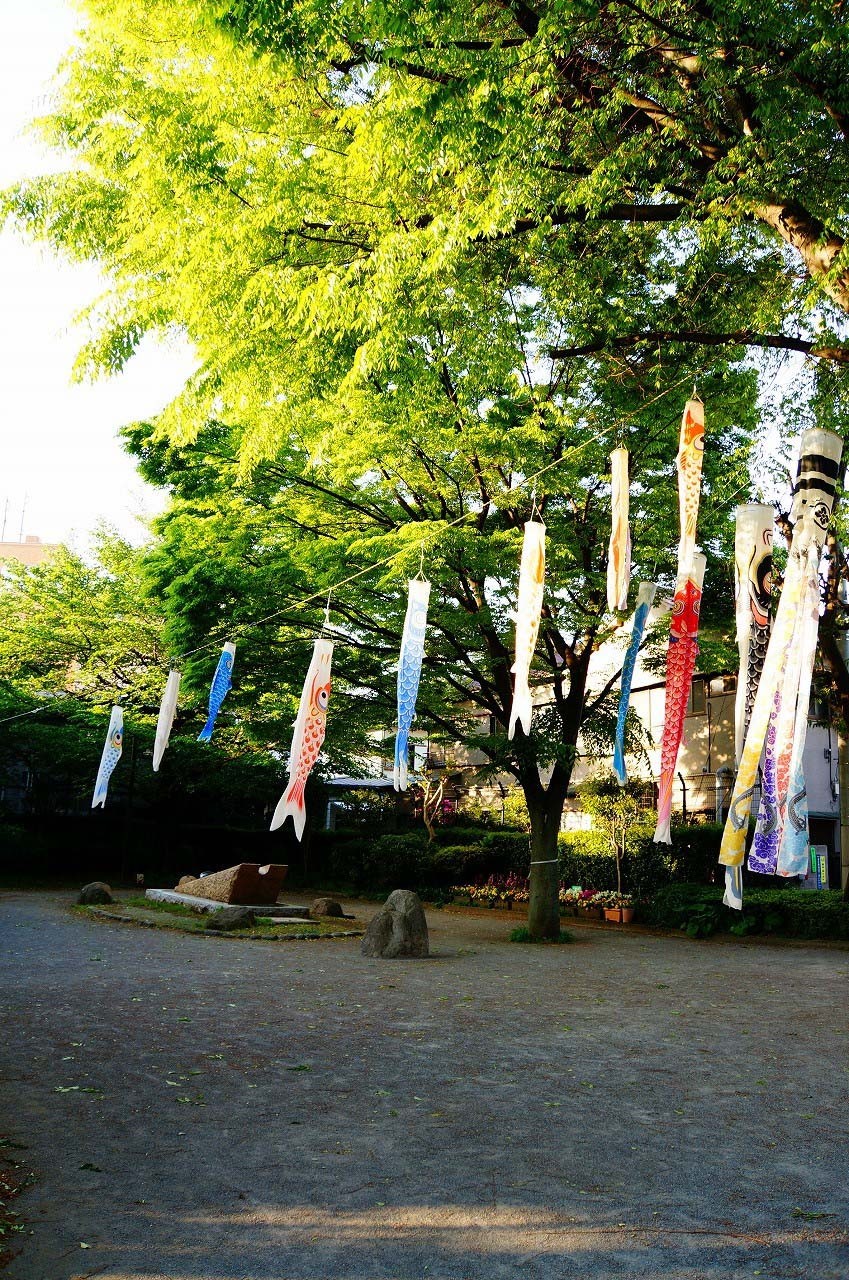 やっぱりここに来ないと落ち着かない！？（高田馬場公園）