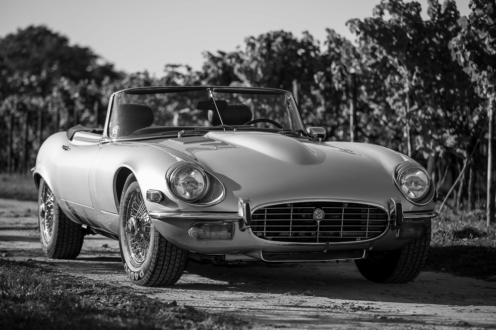 Jaguar E Type