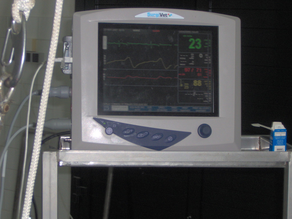 Monitorizacion : Pulso , ECG , Presion arterial invasiva y no invas. , capnografia , T, etc