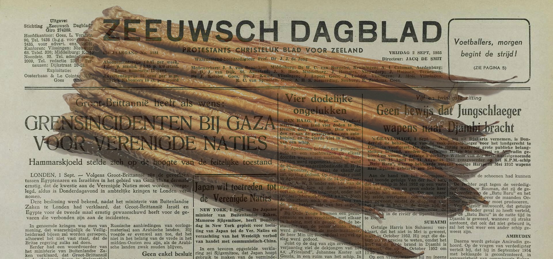 Eel on dutch newspaper (Paling)