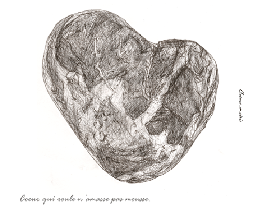 Coeur de mousse, format: 16x14
