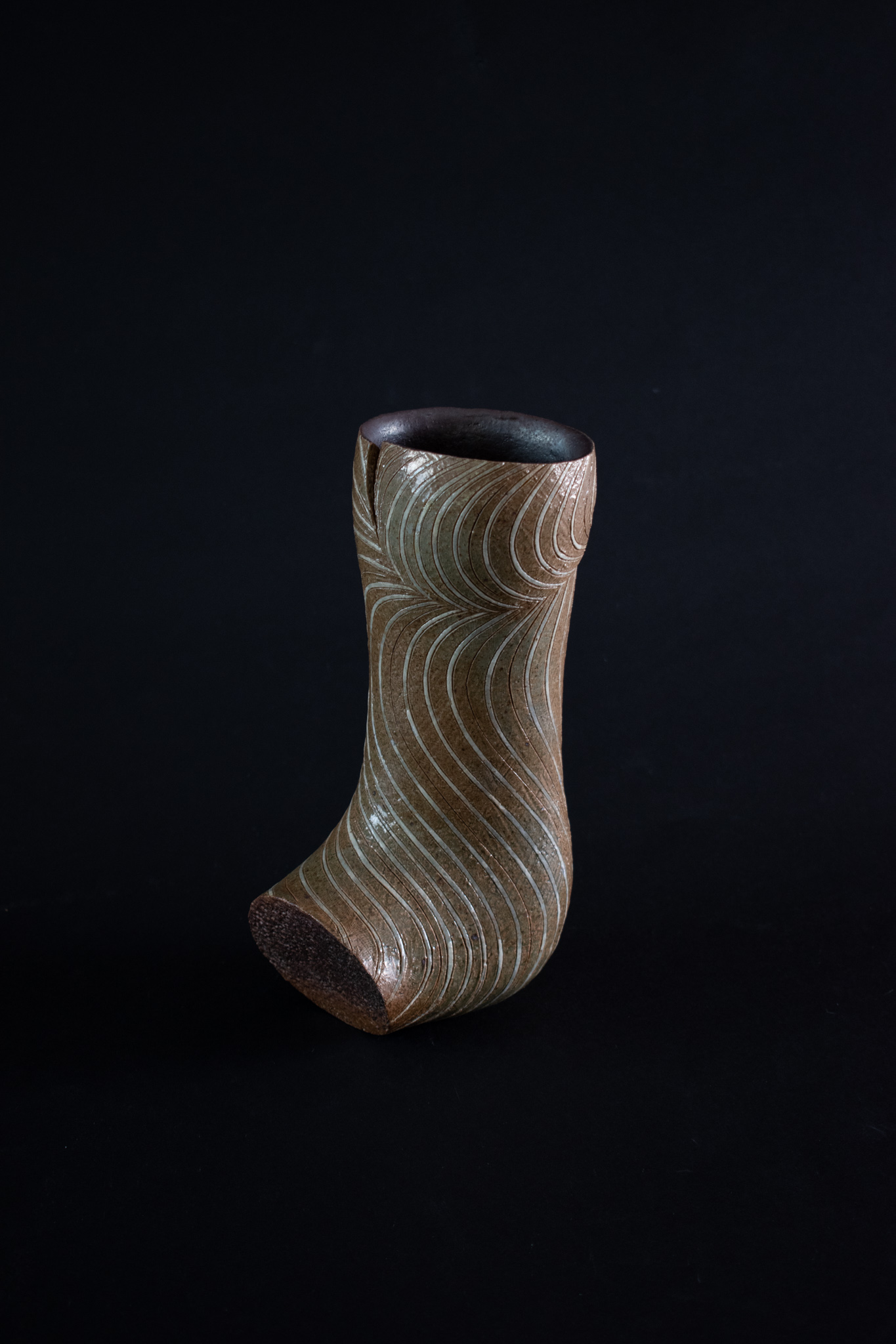 Biography - 波多野正典