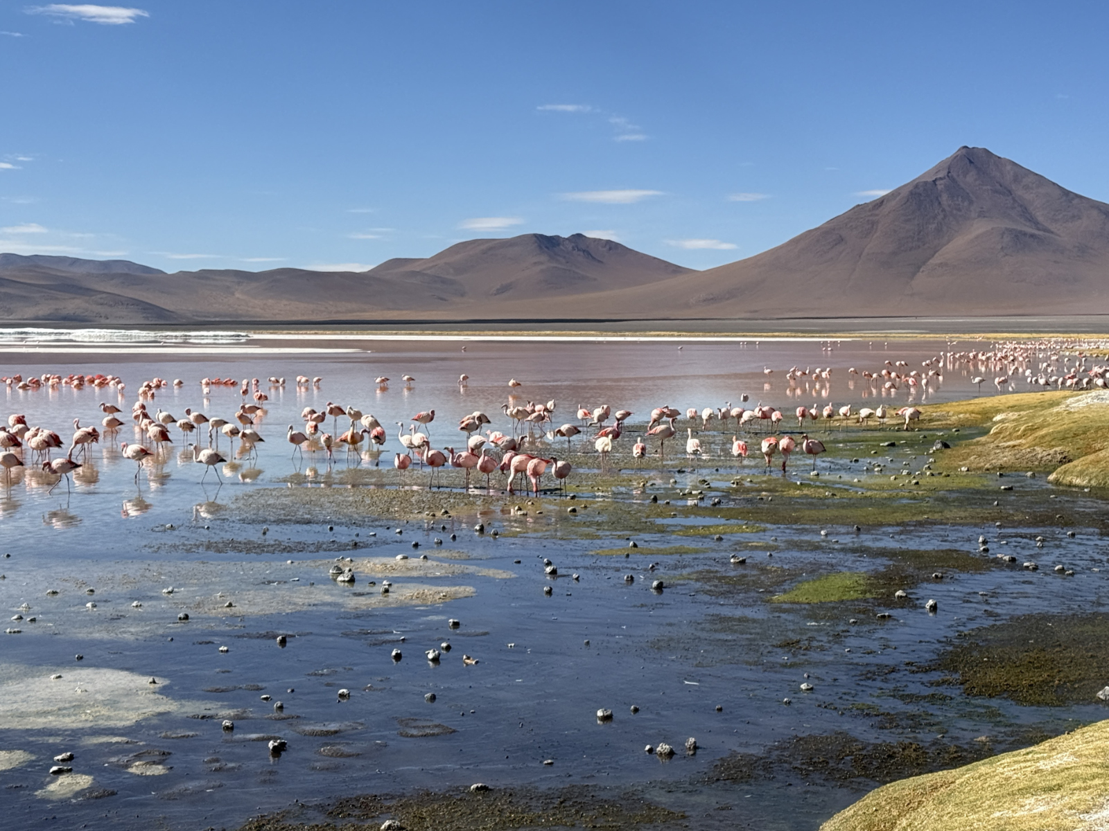 September 2025 - Chile+Bolivien/Auf der Lagunenroute bis Uyuni