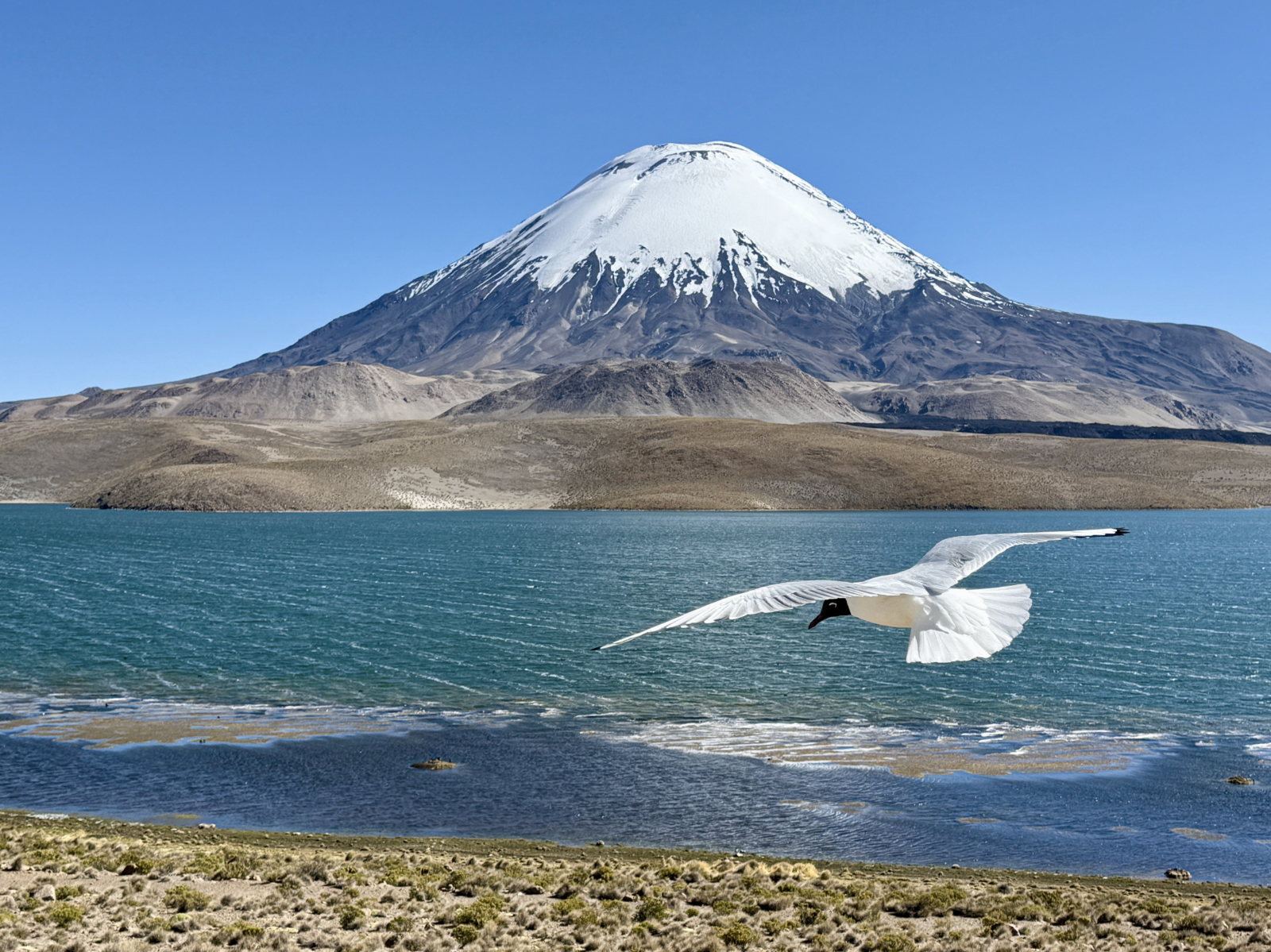 Oktober/November - Chile/Auf der "Ruta Andina" südwärts