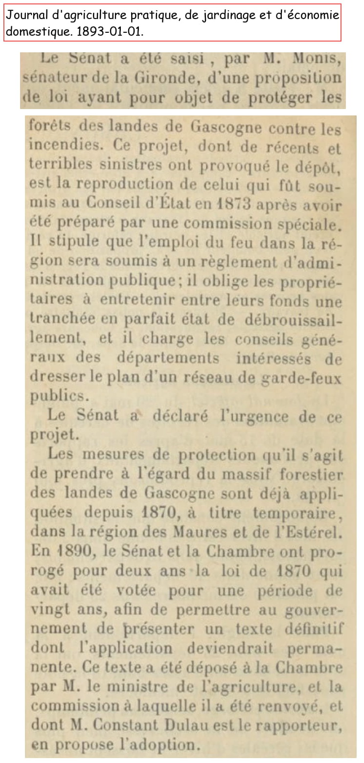 les essences de feuillus poussent avec les pins